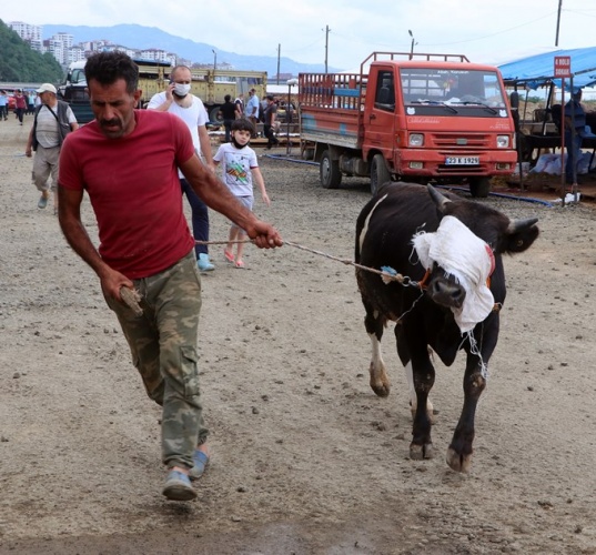 Trabzon'da kurban pazarında yoğunluk 3
