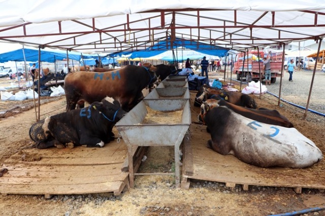 Trabzon'da kurban pazarında yoğunluk 6