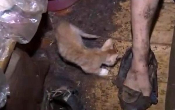 Kızını 26 yıldır kedi mamasıyla besliyor, 14 yıldır banyo yaptırmıyor 2