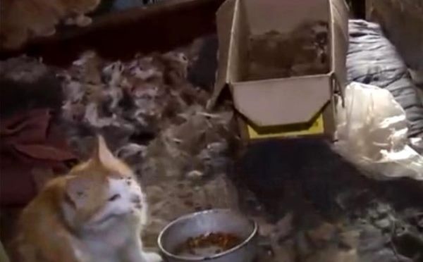 Kızını 26 yıldır kedi mamasıyla besliyor, 14 yıldır banyo yaptırmıyor 8