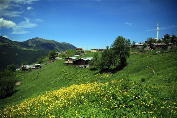 Rize'nin petran yaylası rengarenk 8