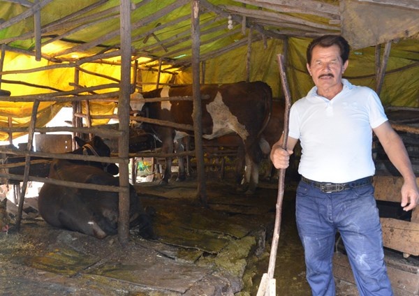 Ordu'da survivor parkuru gibi ev yolu 6