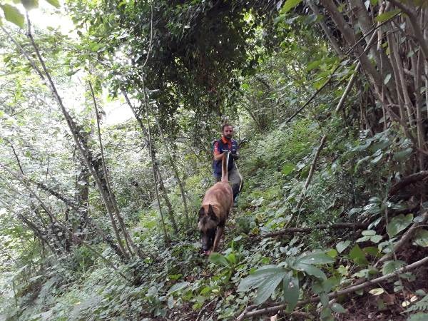 İkranur için köy didik didik aranıyor. Foto Galeri. 4