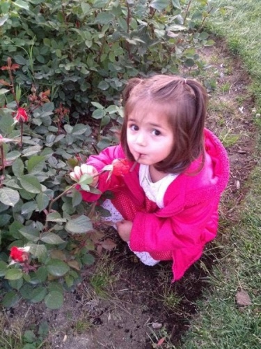 İkranur için köy didik didik aranıyor. Foto Galeri. 10
