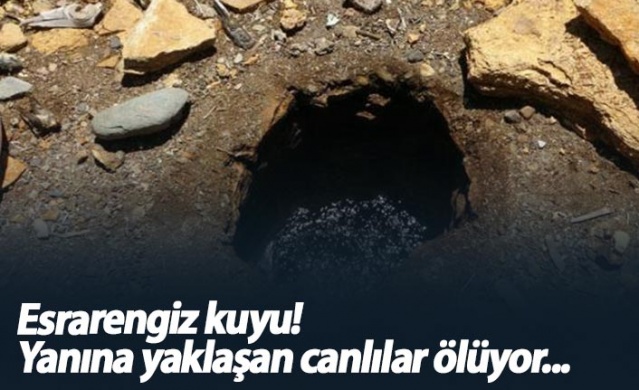 Bu kuyuya yaklaşan canlılar ölüyor 1