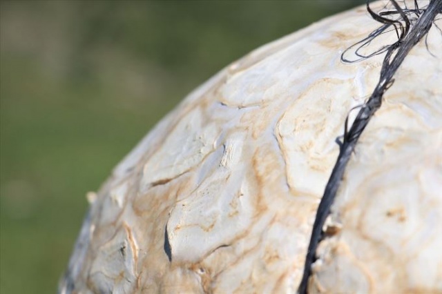 Futbol topu sandığı şey bakın ne çıktı? 4