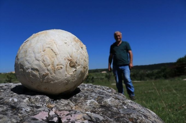 Futbol topu sandığı şey bakın ne çıktı? 5