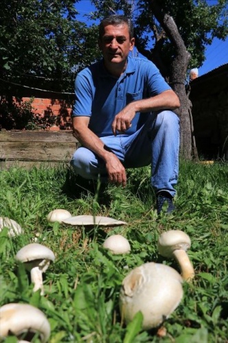 Futbol topu sandığı şey bakın ne çıktı? 11