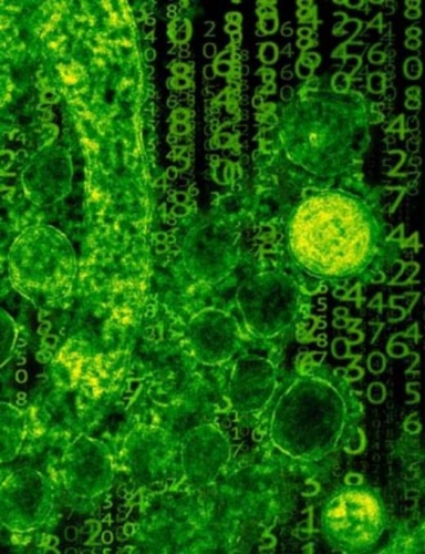 Koronavirüsten sonra 'beyin yiyen amip' kabusu! 12