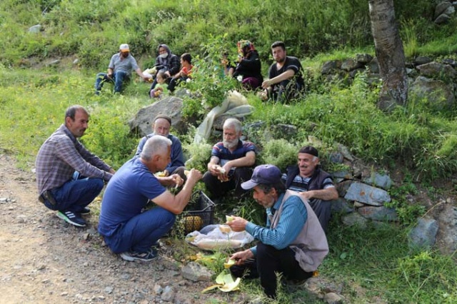 Vali Açıkladı! Artvin'e bir mahalle tamamen yandı 23