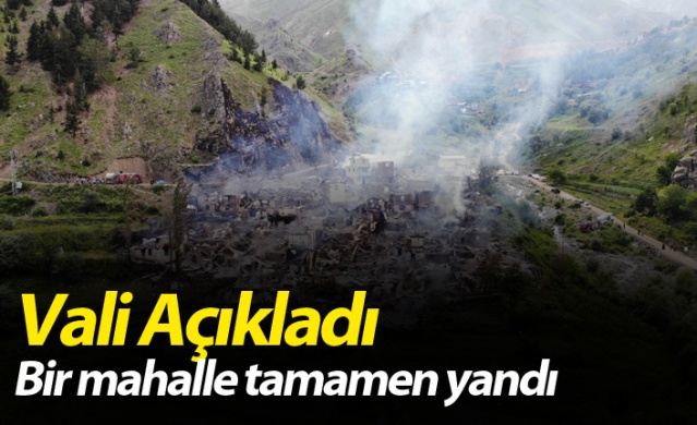 Vali Açıkladı! Artvin'e bir mahalle tamamen yandı 1