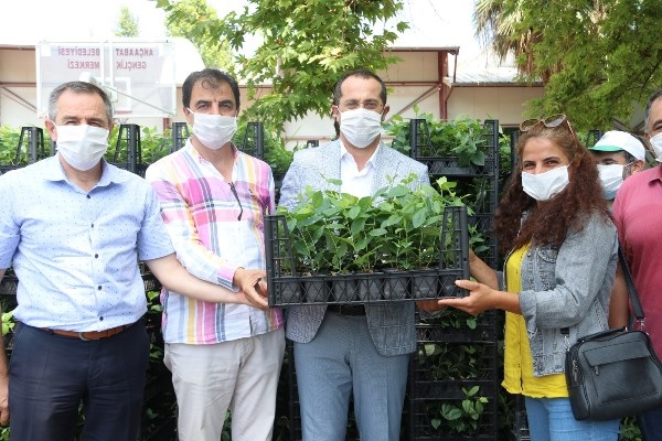 Trabzon'da bir şifa deposu: Aronya 11