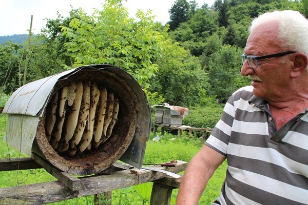 Rize'de karakovan bal üretimi geleneği sürüyor 6