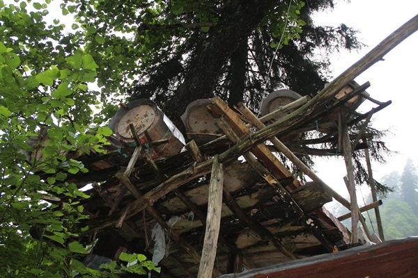 Rize'de karakovan bal üretimi geleneği sürüyor 8