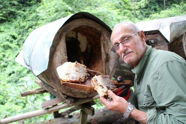 Rize'de karakovan bal üretimi geleneği sürüyor 4