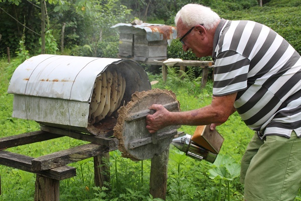Rize'de karakovan bal üretimi geleneği sürüyor 10