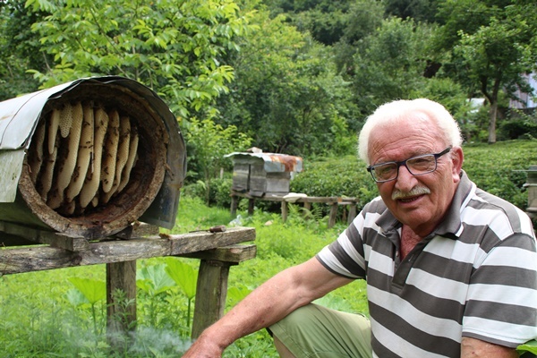 Rize'de karakovan bal üretimi geleneği sürüyor 7