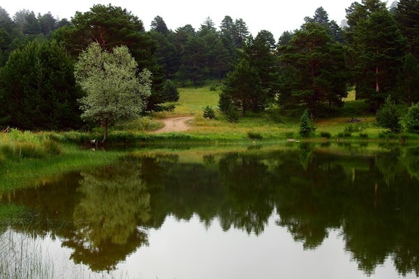 Şehrin stresinden uzaklaştılar 3