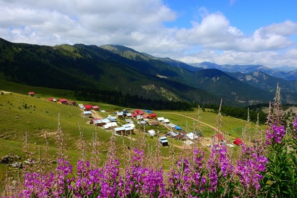 Şehrin stresinden uzaklaştılar 5