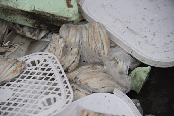 Balık yüklü tır devrildi! İlk müdahaleyi Trabzon'a gelen ekip yaptı 3