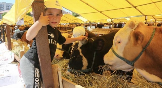 Bilim Kurulu Üyesi Özlü uyardı: Kurban etinde bulaş riski olabilir 2