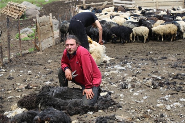 Karadeniz'de yaylacılık geleneği yaşatılıyor 4