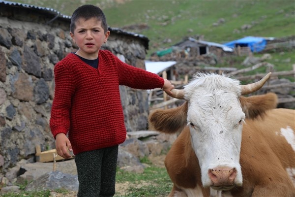 Karadeniz'de yaylacılık geleneği yaşatılıyor 6