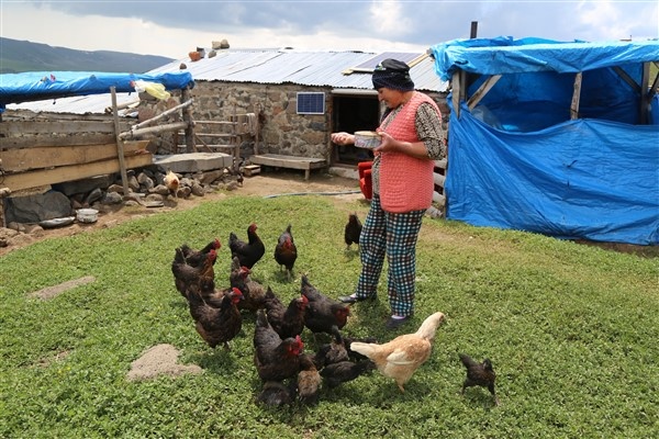 Karadeniz'de yaylacılık geleneği yaşatılıyor 13