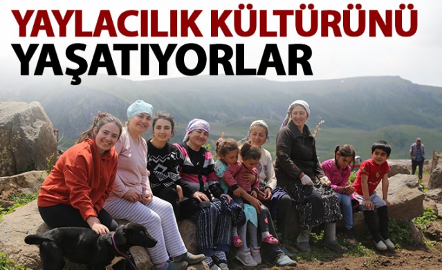 Karadeniz'de yaylacılık geleneği yaşatılıyor 1