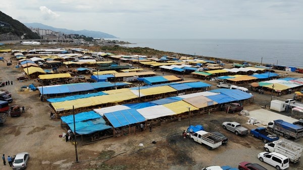 Trabzon'da kurban pazarının gözdesi! Tam Bir Ton100 Kilo 11