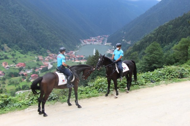 Uzungöl’de onları gören şaşırıyor 3
