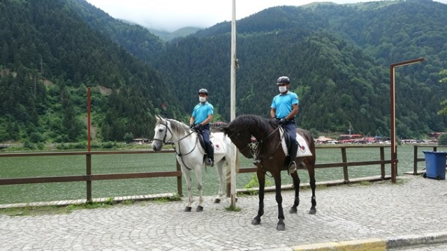 Uzungöl’de onları gören şaşırıyor 13