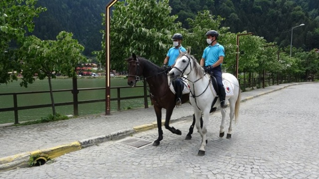 Uzungöl’de onları gören şaşırıyor 20
