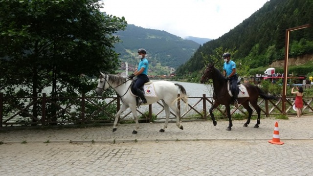 Uzungöl’de onları gören şaşırıyor 10