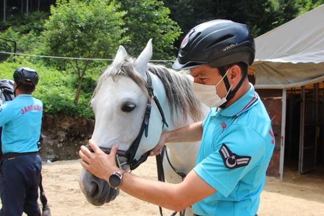 Uzungöl’de onları gören şaşırıyor 9