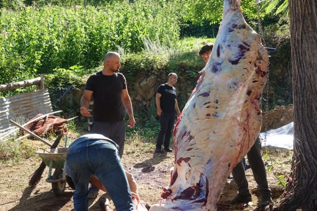 300 yıllık kurban geleneği yaşatılıyor 5