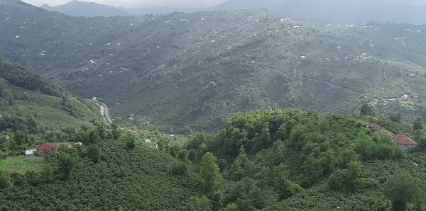 Taşköprü Yaylası, ziyaretçilerini ağırlıyor 2