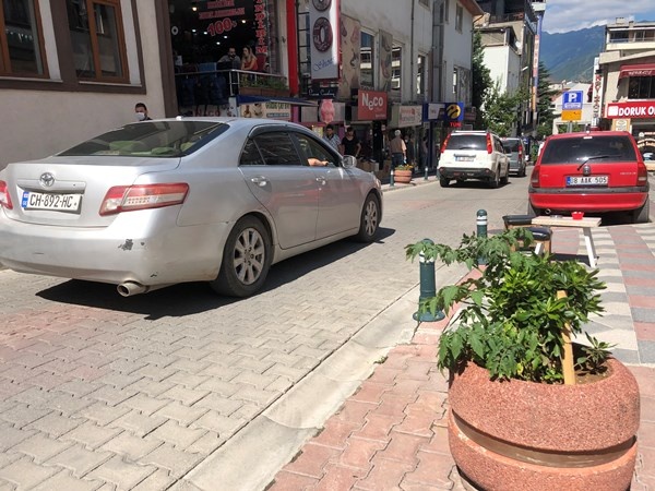 Artvin'de cadde ortasında ilginç görüntü 2