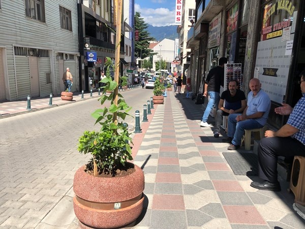 Artvin'de cadde ortasında ilginç görüntü 3