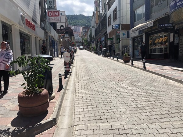 Artvin'de cadde ortasında ilginç görüntü 6