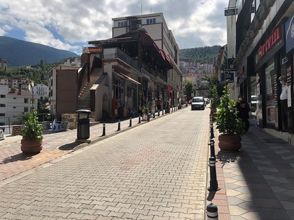 Artvin'de cadde ortasında ilginç görüntü 8