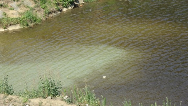 Sera Gölü büyük tehlike altında 9