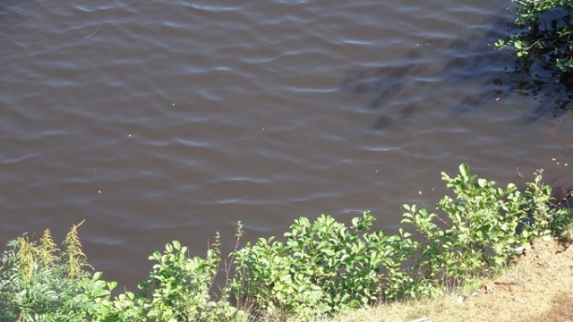 Sera Gölü büyük tehlike altında 7