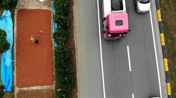 Fındıklarını kurutmak için 100 kilometre yol gidiyorlar 7