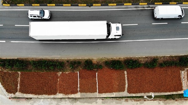 Fındıklarını kurutmak için 100 kilometre yol gidiyorlar 8