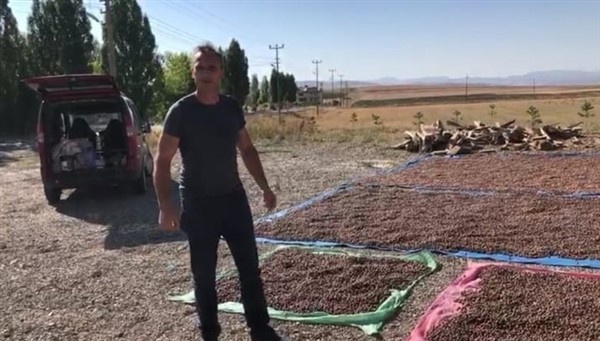 Fındıklarını kurutmak için 100 kilometre yol gidiyorlar 18
