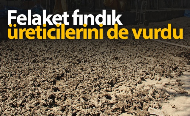 Felaket fındık üreticilerini de vurdu 1
