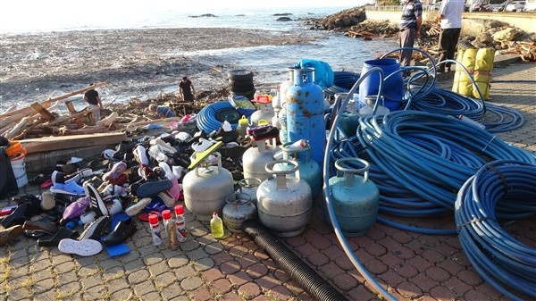 Denizin üstünü ağaçlar kapladı 7