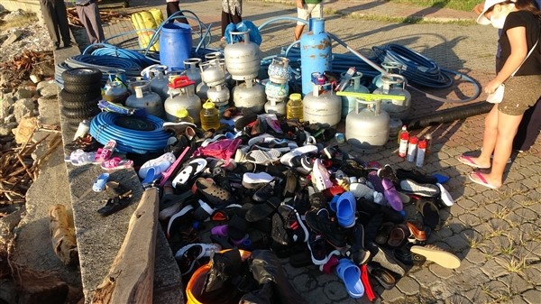 Denizin üstünü ağaçlar kapladı 14