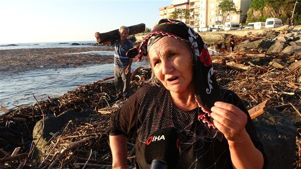 Denizin üstünü ağaçlar kapladı 12